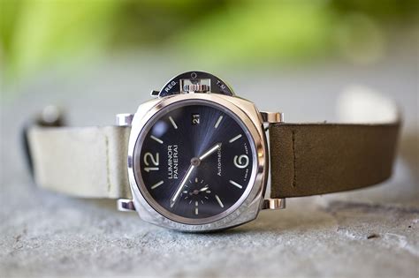 panerai silver|gold Panerai watches.